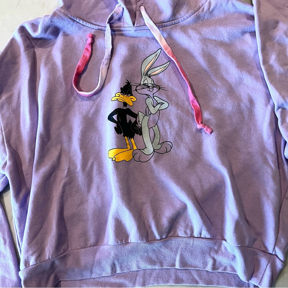 Loony Toons Hoodie